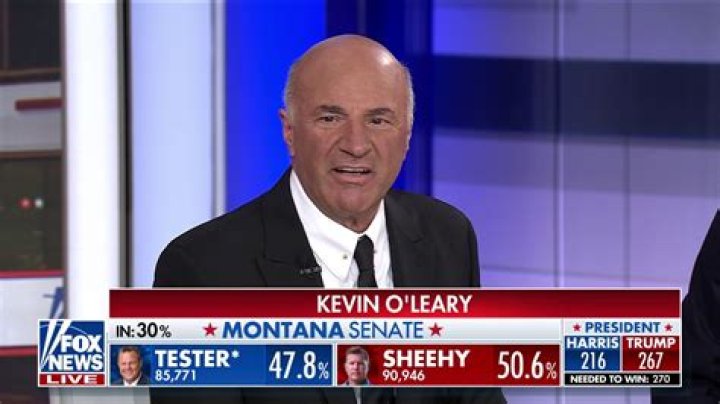 What Does Kevin O'Leary Own?